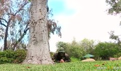 Soldier Danny D eats out nude brunette Casey Calvert