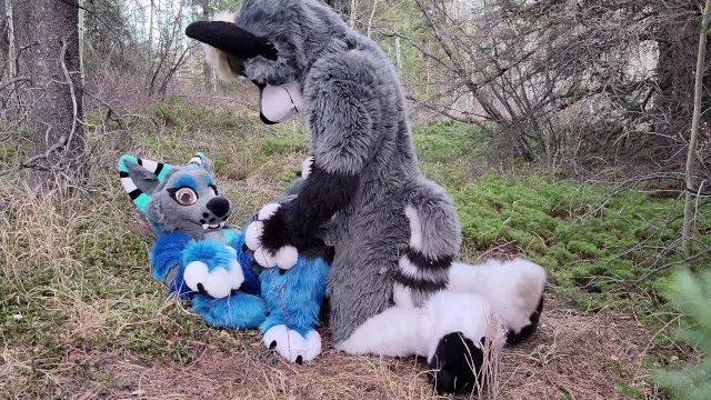 Horny Furries Fuck In The Wild Porn Video