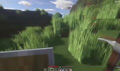 builiding a house in minecraft