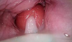 Camera in Vagina, Cervix POV, "Creampie"