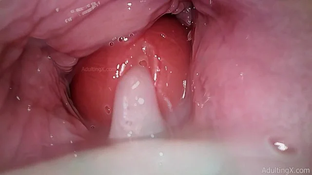 Inside Pussy Cam - Camera In Vagina, Cervix POV, \