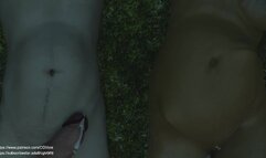 Misterious forest basic version