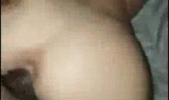 Sexy wife in pigtails sucking bbc