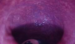 Internal View 8ight Ball In My Ass Pocket