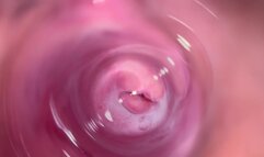 Camera deep inside Mia's teen creamy pussy