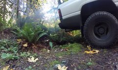 24 Valves Dodge Cummins smoke