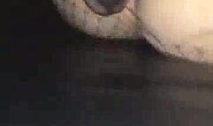 Japanese fuck video with my 34 year old wife