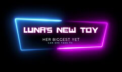 Luna's double hand dildo