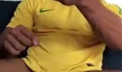 Brazil soccer fan