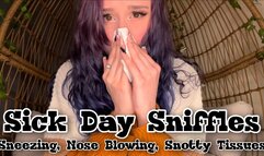 Sick Day Sniffles Sneezing and Nose Blowing