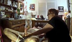 Naked man tied with legs in the air- 2 of 2 Cam 1-BBW domination,BBW bondage,male bondage,man in bondage,amateur,man tied up,handjob,strapped down,edging,edged,post cum play,polishing,ruined orgasm,bound and gagged man,post orgasm torment,