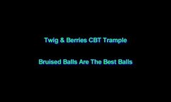 Bruised Balls Are The Best Balls
