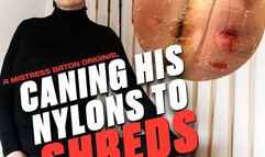 Caning His Nylons To Shreds HD (for Windows)