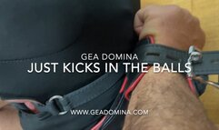 GEA DOMINA - JUST KICKS IN THE BALLS (MOBILE)