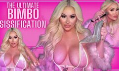 Ultimate BIMBO Sissification (WMV)