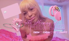 The Meaning of Fem Led