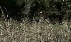 Spread the Wealth (1994)