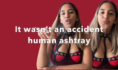It wasn't an accident-human ashtray