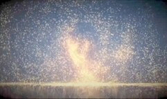 Meditation and Masturbation