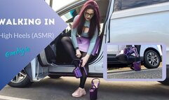 HEELS BIGGER THAN YOUR DICK