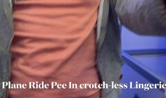 Plane ride Pee in crotchless lingerie
