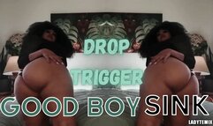 Good Boy Sink Mesmerizing Trigger Implant