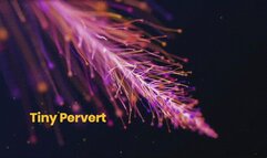 Tiny Pervert *mp4*