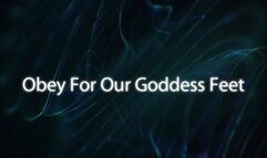 Obey for our Goddess Feet *wmv*