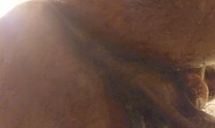 Ass Worship Hallelujah Johnson (Alright You Can Eat My Ass In The Bathroom)