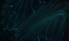 Our Eager Wanker *wmv*