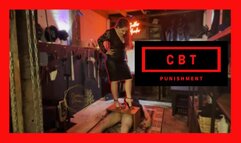 CBT Punishment
