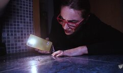 Forever Missing - Butterfly Senses