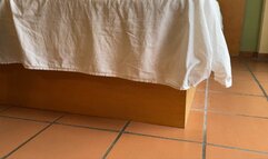 Dominated by the Fishnet Goddess by Milah and Katherine