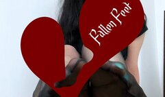 Nylon Soles for my doggy