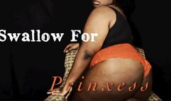 Swallow For Prinxess