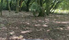 BBW mac book crush in the mud with new rocks