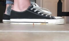 Sneakers and Crackers