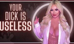 Your Dick Is USELESS