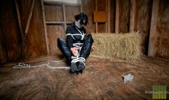 Nyxon A Lesson In Bargining Pt 2 HD 1080p MP4