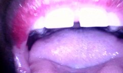 Giantess Roller Coaster the Gobbler