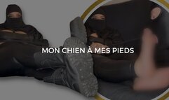 My doggy at My feet |FR|