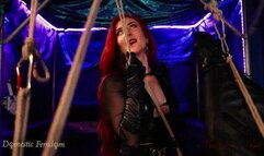 Predicament Bondage: Teamwork