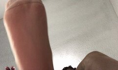 Giantess Rewards Tiny Husband for Gift PT2