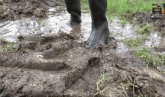 Poor stuffed Toys under strong Wellies