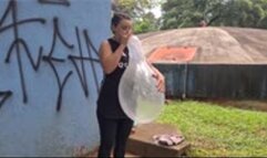 Jane: The Full Experience