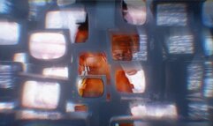 Ember Snow- Real Estate Fuck 2 with Alex Coal