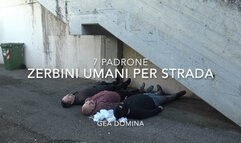 GEA DOMINA - 8 MISTRESS AND 4 HUMAN DOORMATS ON THE ROAD