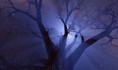 Bedtime Stories: Filthy Panty Slut (Femdom ASMR) Vid