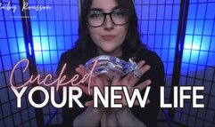 Cucked, Your New Life