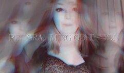 INTENSIVE PROGRAMMING OBSESSION